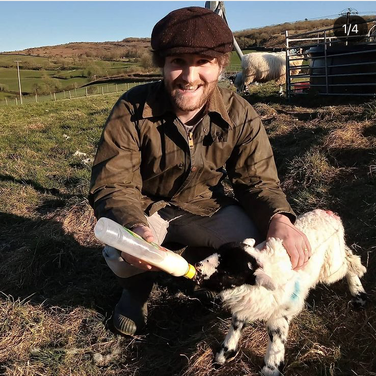 Joe feeding one of our pet lambs