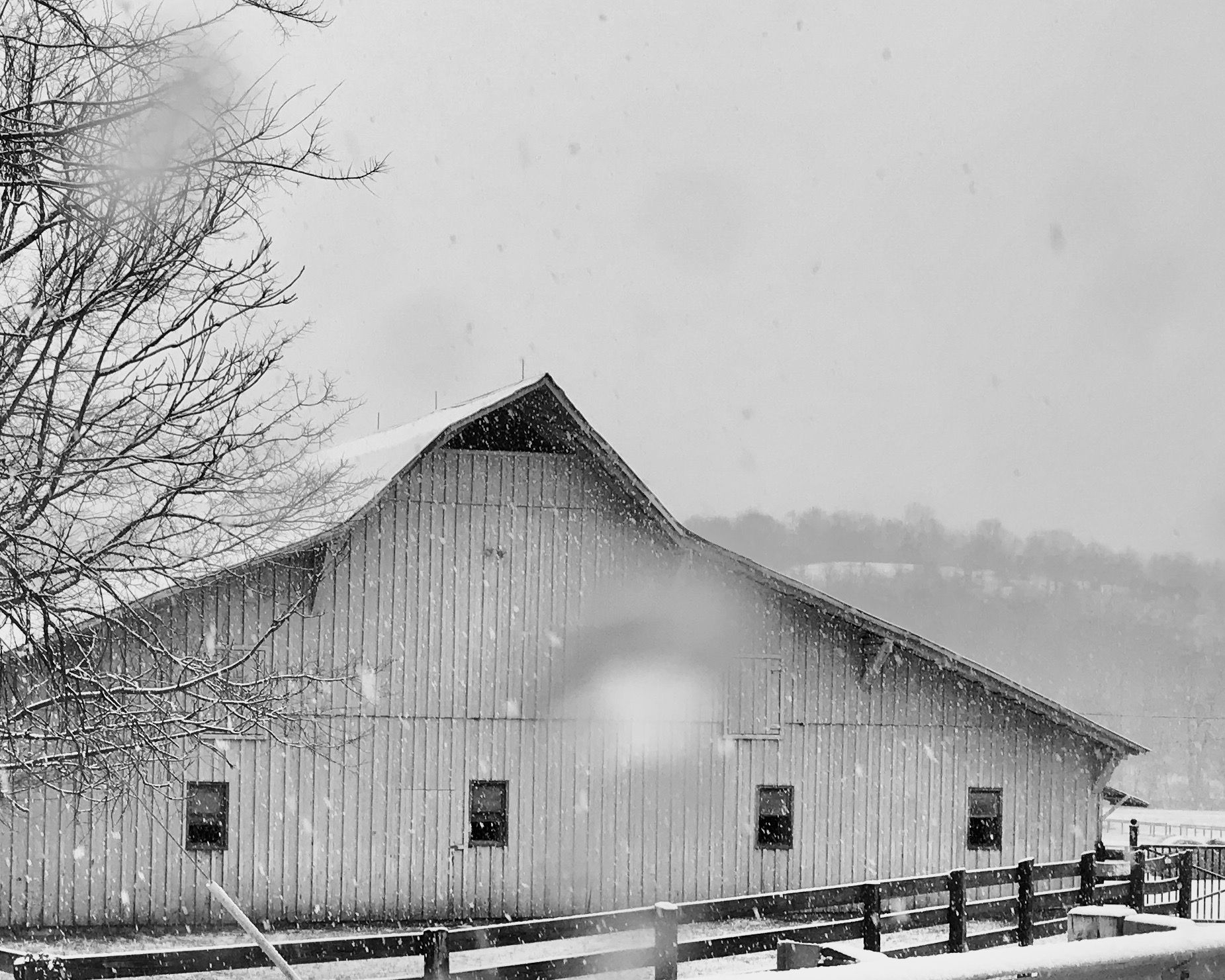 "Softly and Quietly"