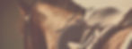 01_Start_Title.jpg