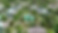 vlcsnap-2024-08-21-19h28m50s982.png