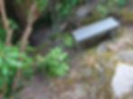 Gee20121a.jpg