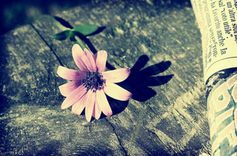 Zemřela manželka a velká opora dlouholetého českého honorárního konzula Pavla Millarová.