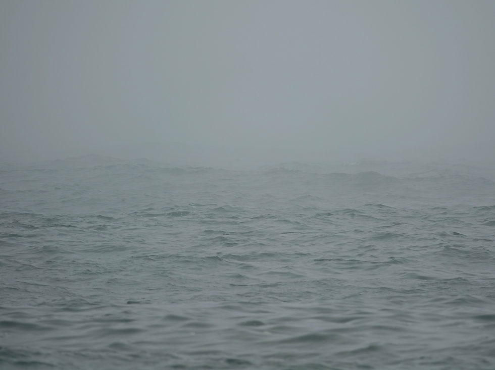 80x60 cm, Valerie Windeck