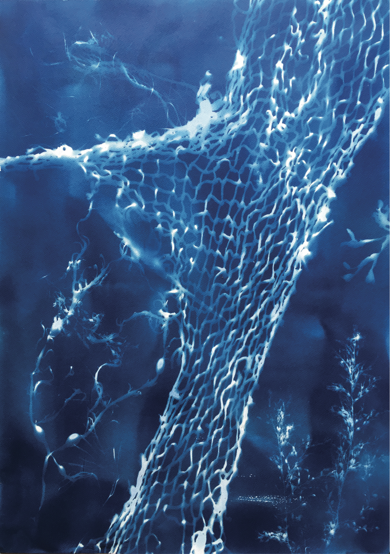 IMMERSIONS