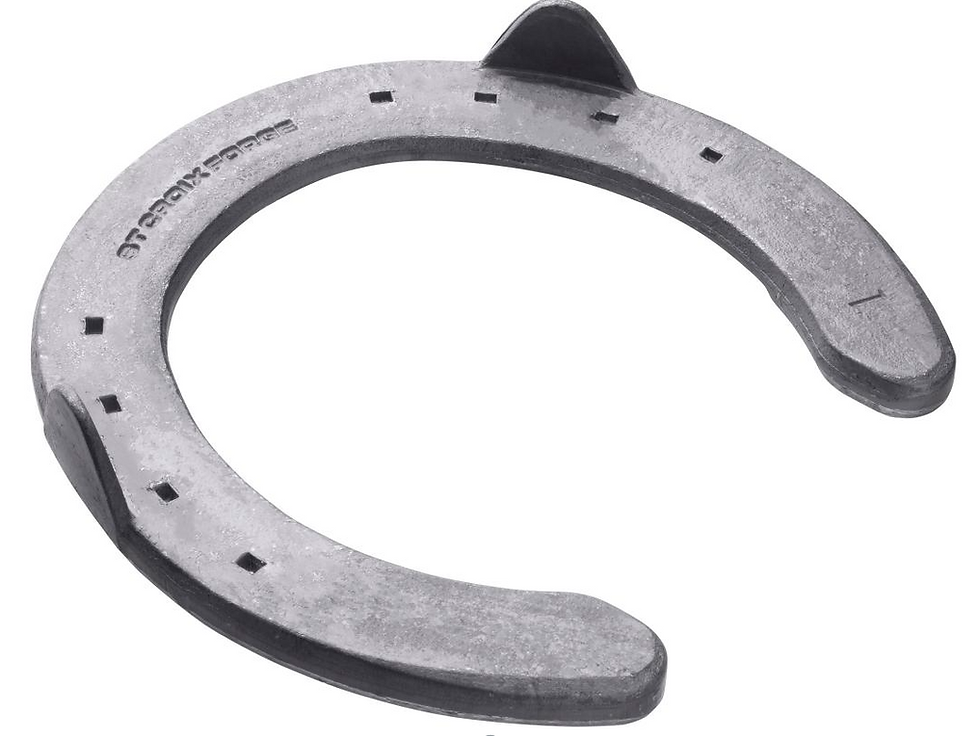 Thumbnail: St. Croix Forge Eventer Plus Steel (Clipped)