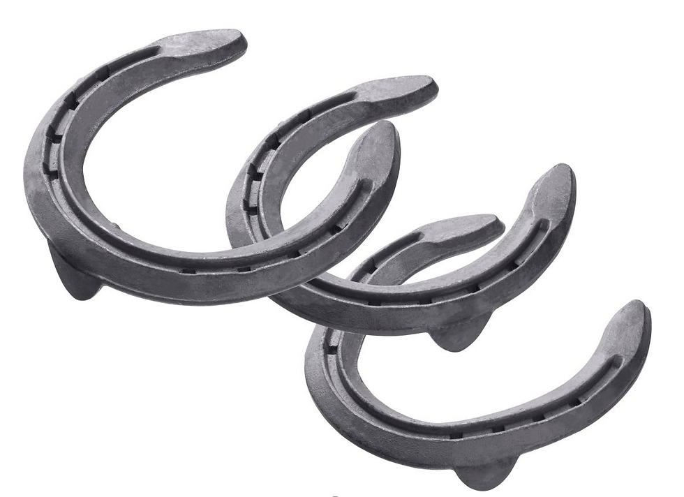 Thumbnail: St. Croix Forge Eventer Steel (Clipped)