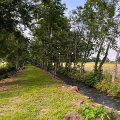 Bosco, wood, green, natura, verde, fiumi, acqua, eventi, cuneo
