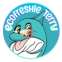 EcoFreshMaid Testimonial Terry