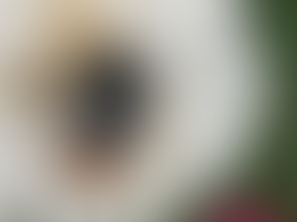 Welcome to the world of flower farming...