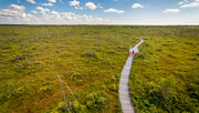 The Bog Trail, Kouchibouguac National Park
