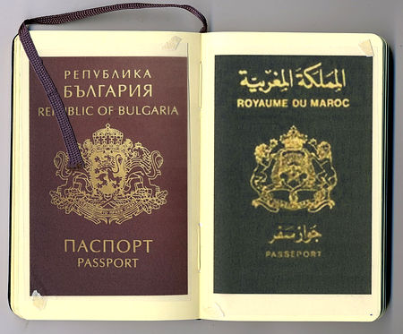 world passport 3.jpg