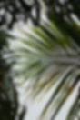 DSC_8232.jpg