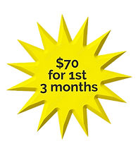 star sale grpahic_edited.png
