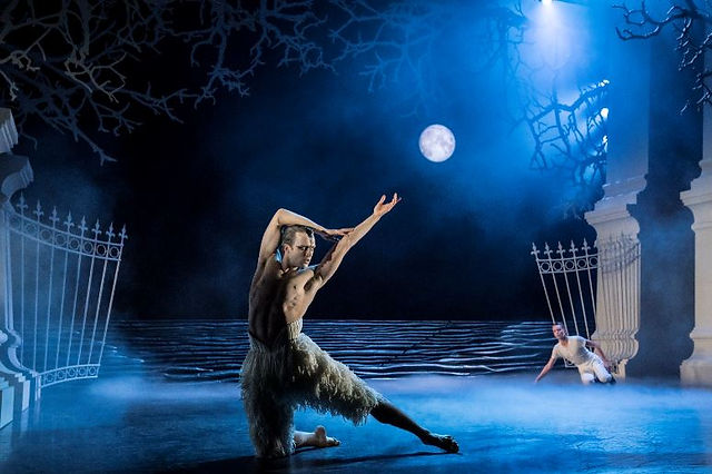 Swan Lake c. Johan Persson