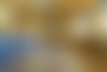 St George's Hall Minton floor 2026 reveal details