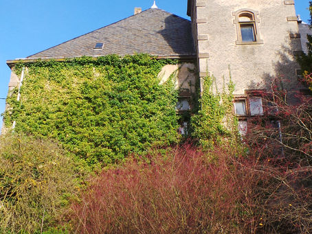 Bauantrag wurde gestellt
