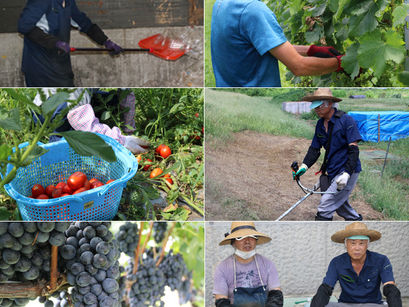 【ホームページ】リニューアルしました!