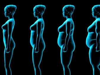 O que é massa magra e por que ela é tão importante para a sua saúde?