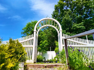 garden center bedford nh