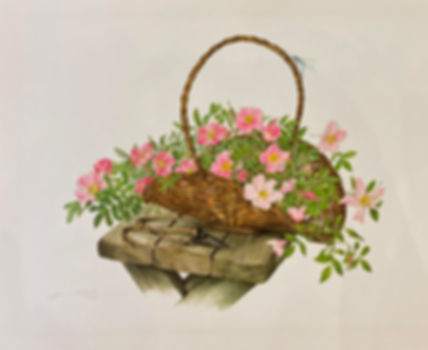 20x28 S/N Lithograph