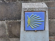 20250417_142347 (1).jpg