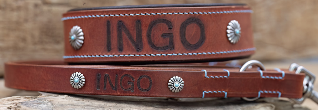 Snow Tracks | Unique Dogcollar & Leashes 