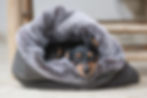 Ein kleiner Hund genießt den Komfort eines kuscheligen grauen Hunde Kuschelsacks auf dem Boden.