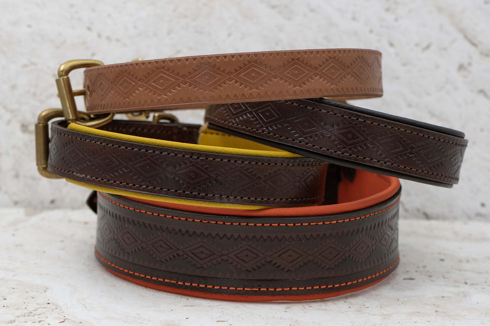 Miniaturbild: Hundehalsband Leder: AZTEKI