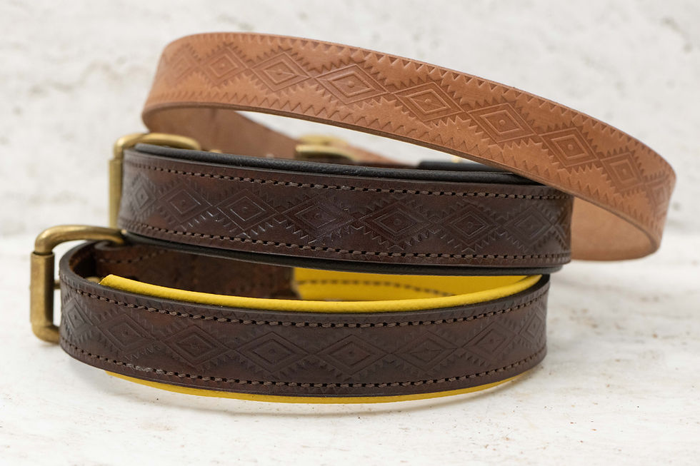 Miniaturbild: Hundehalsband Leder: AZTEKI