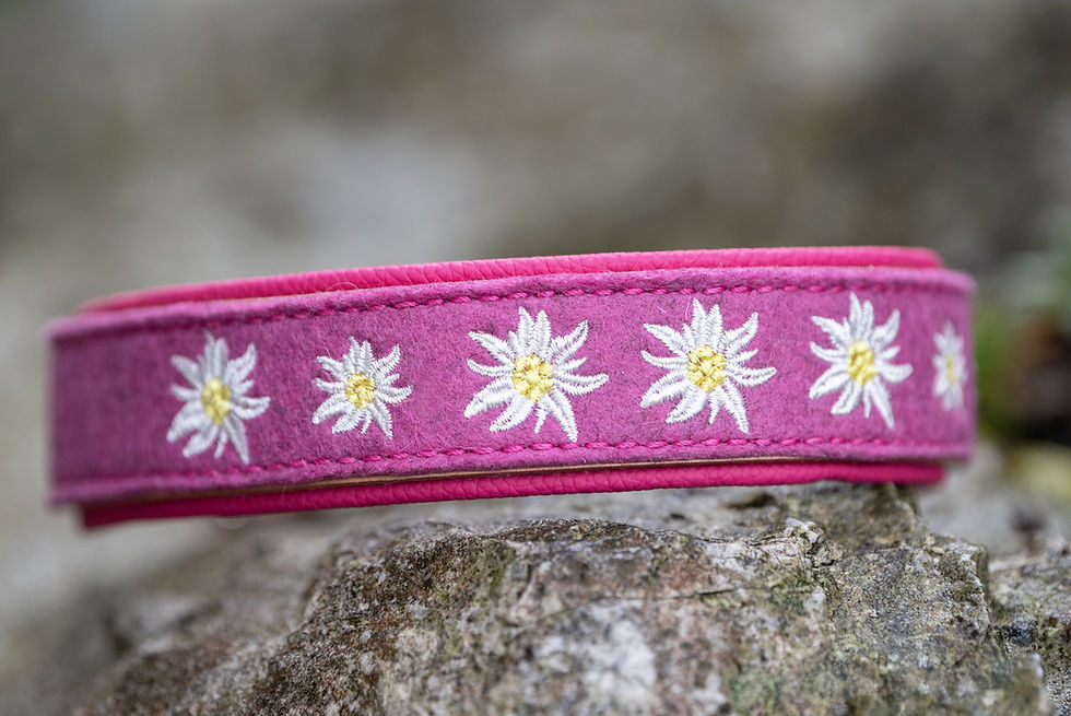Miniaturbild: Hundehalsband Leder-Wollfilz: EDELWEISS