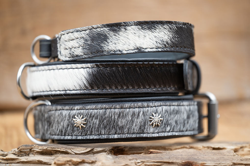 Miniaturbild: Verschiedene Hundehalsbänder aus Leder mit echtem Kuhfell – individuelle Designs in unterschiedlichen Fellmustern.
