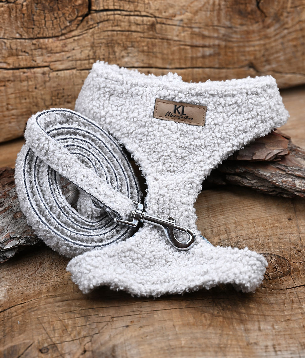 Miniaturbild: Teddy Soft-Hundegeschirr Grau