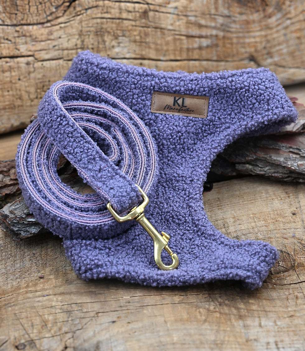 Miniaturbild: Teddy Soft-Hundegeschirr Lila mit passender Leine