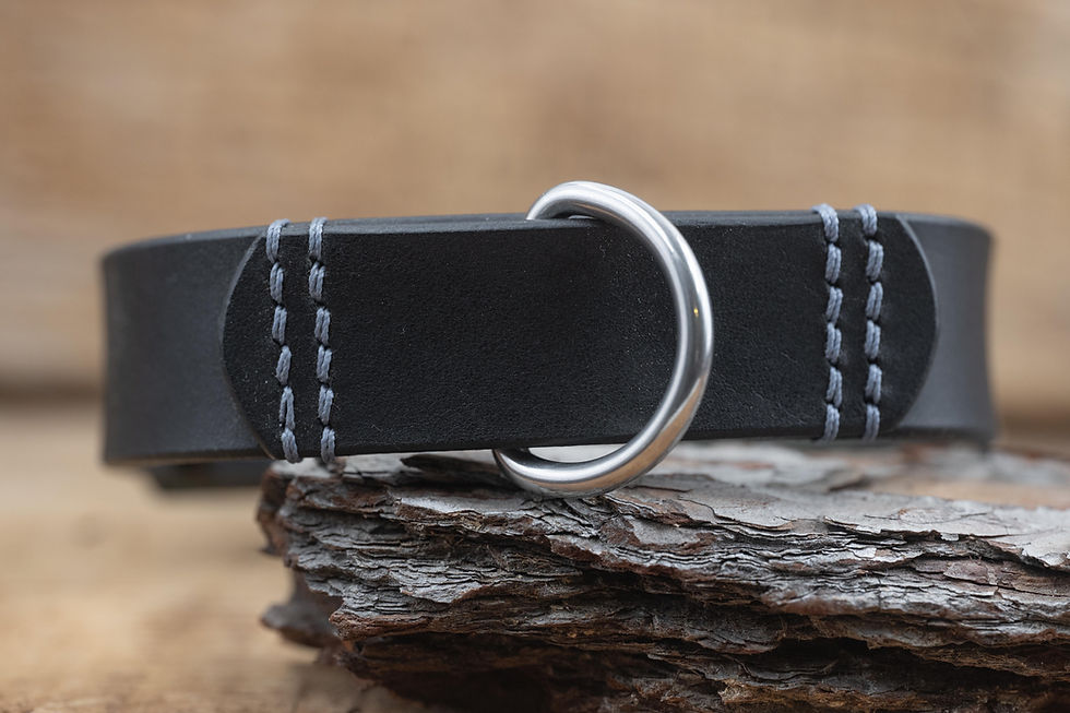 Miniaturbild: Hundehalsband Leder: ASTRA