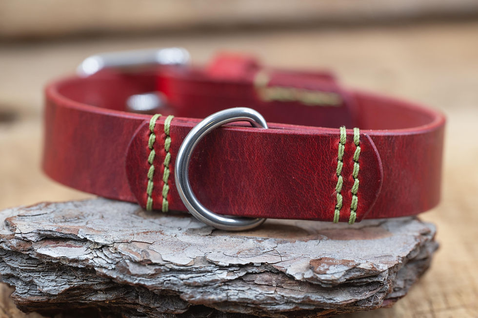Miniaturbild: Hundehalsband Leder: ASTRA