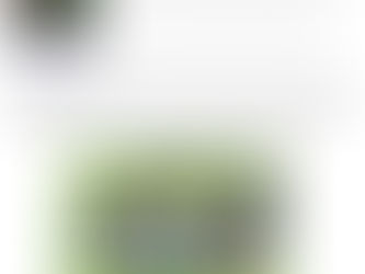 CASO OMISO ►► Nuevo disco en descarga directa 'Desórdenes Emocionales'