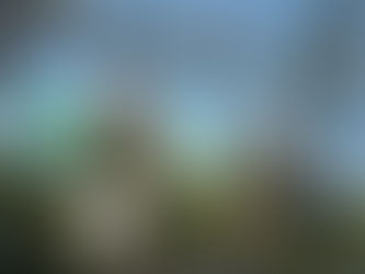 CRÓNICA LEYENDAS DEL ROCK 2012