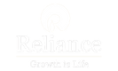 Shweta Patel_Reliance Digital Marketing work experience