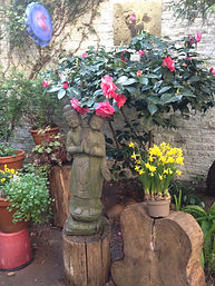 IMG_1148.jpeg