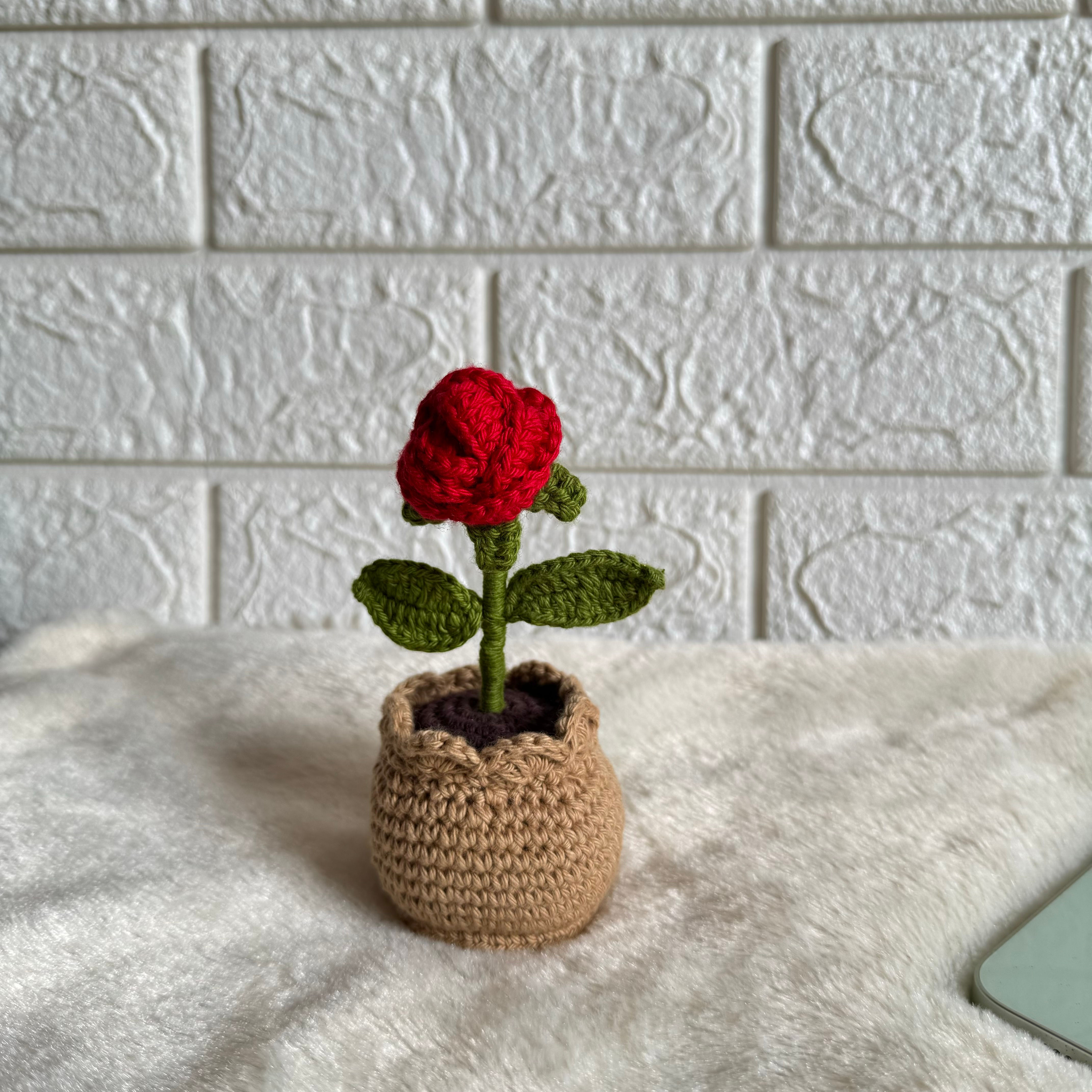 Forever Rose Pot