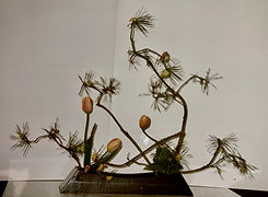 IMG_0307.jpeg
