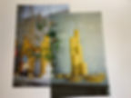 IMG_0308.jpeg
