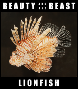 Beauty and the Beast