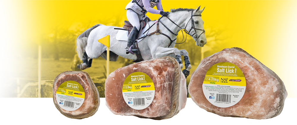 NAF Himalayan Salt Licks - buy one get one free