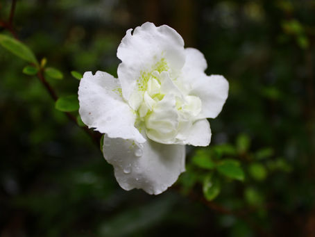 Reflecting on Minimalism