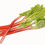 Thumbnail: Rhubarb Jam