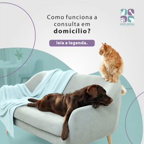 3 - CONSULTA A DOMICÍLIO.png