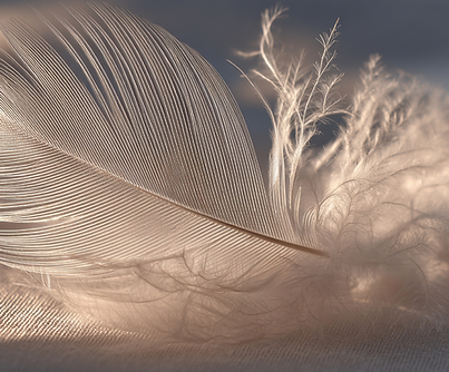 Understanding baby loss for women