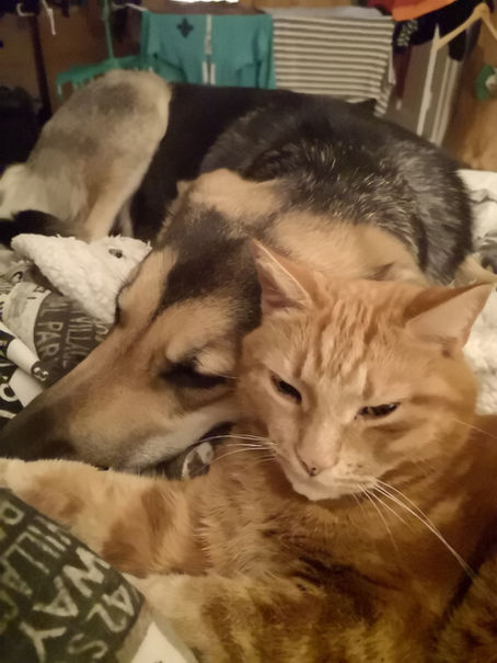 Katten tycker att jag är för fragmenterad.........