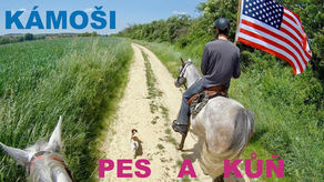 Psi a koně můžou být kamarádi 🐎🐕🇺🇸